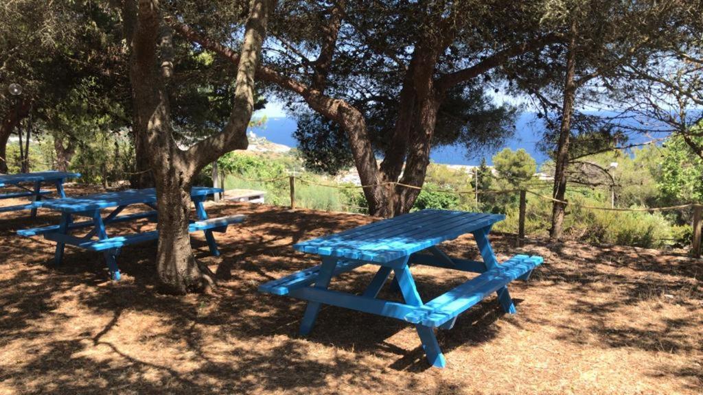 Camping La Scogliera Santa Cesarea Terme Εξωτερικό φωτογραφία